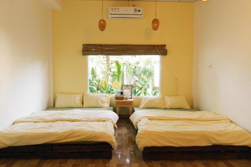 Phòng Dừa - Nhà Mơ Homestay Bến Tre (Phong Dua - Nha Mo Homestay Ben Tre) in Son Dong