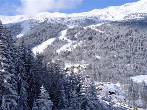Chalet (10 Adults) image 5