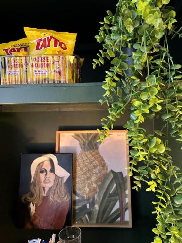 Wellesley Guest Accommodation - image 3