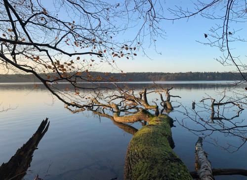 Haus am Grimnitzsee mit Sauna