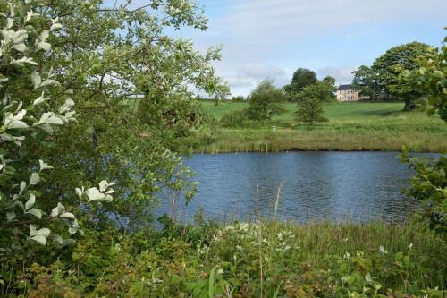 Country Lodge within Castle Ruins and own Loch 20 mins to St Andrews