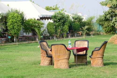 The Jungle Camp Ranthambore