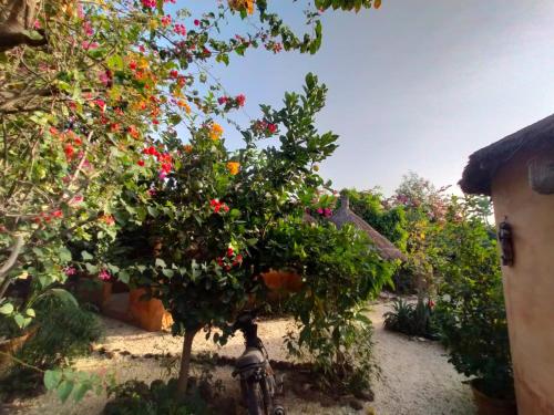 Campement Baobab chambres d'hotes 15mn de l'aeroport