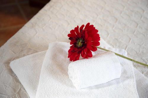 Agriturismo Codula Fuili