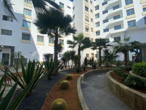 Corniche Casablanca- Golden Hour, Casablanca