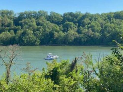 Free Parking on a Private St., Minutes to Georgetown, MedStar Hospital, Georgetown University and mo in แมคลีน (VA)