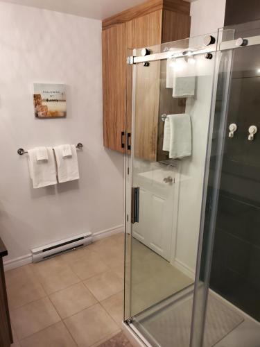 L'EdenSki Condo - Vue sur la montagne