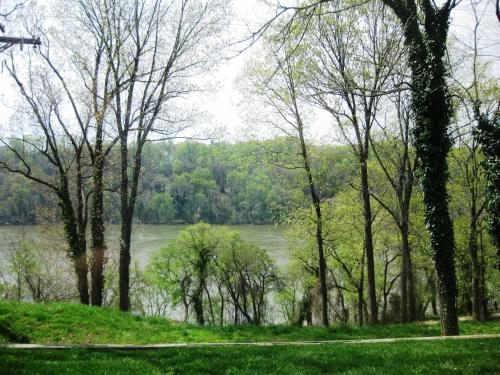 Free Parking on a Private St., Minutes to Georgetown, MedStar Hospital, Georgetown University and mo in แมคลีน (VA)