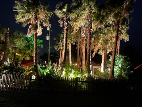 Casa de Palmeras in Galveston, USA