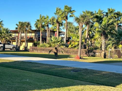 Casa de Palmeras in Galveston, USA