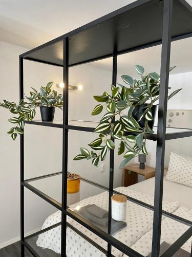 Apartman Lavanda 2 - image 5