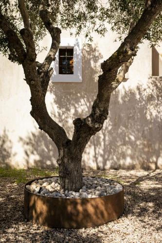 Can Noves - Villa de 3 Suites - image 3