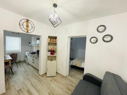 Apartament CHIC - Apartment - Vatra Dornei