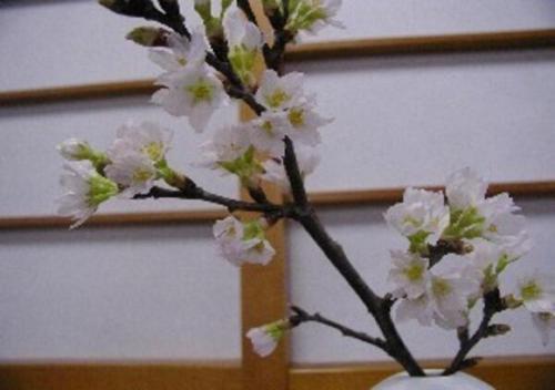 Wakaba Ryokan / Vacation STAY 29370