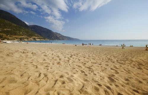 蚝式公寓 - 仅限成人  蚝式公寓 - 仅限成人