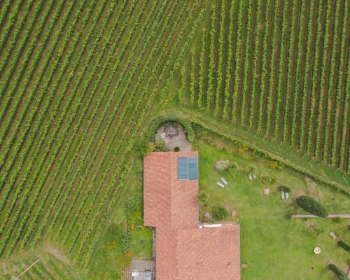  Thanhammer in Terlan