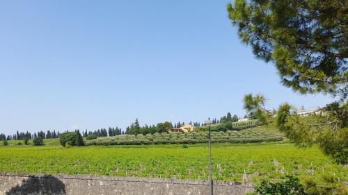 A környék, Verona Est Due in Szentmartin Buon Albergo