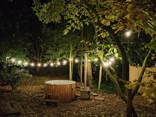  Stylish cottage in the woods near National Park with private hot tub Free WiFi and parking in Meijel