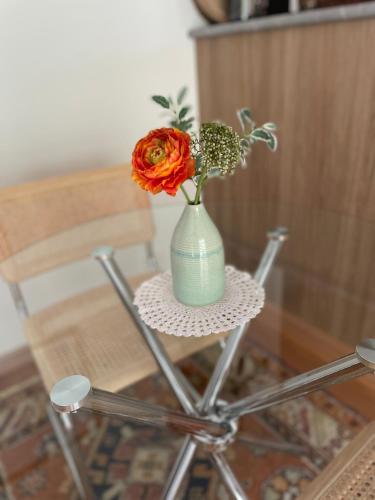 Amaroo with a view set on a 50 Acre Hobby Farm