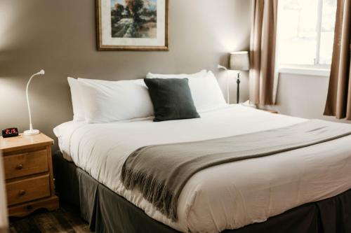 1 king bed, 1 sofa bed