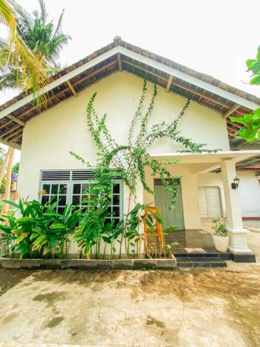 Homestay Kamar Tamu Selomartani 3