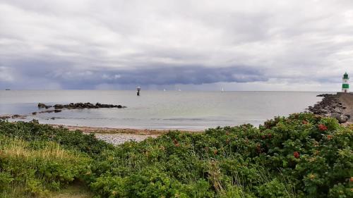 Beach, Ferienhaus Casa Aniel Olpenitz in Olpenitz