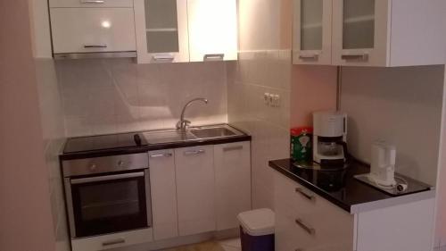 One-Bedroom Apartment with Terrace image 3