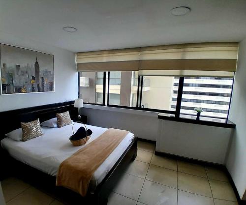 One-Bedroom Apartment image 7