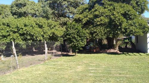 Kert, Angiru in Mercedes