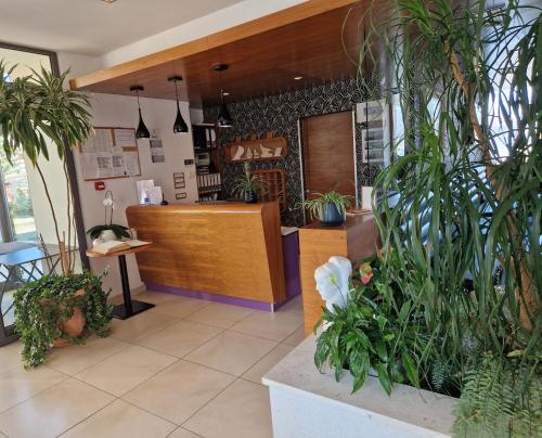 Hotel Lipa - image 9