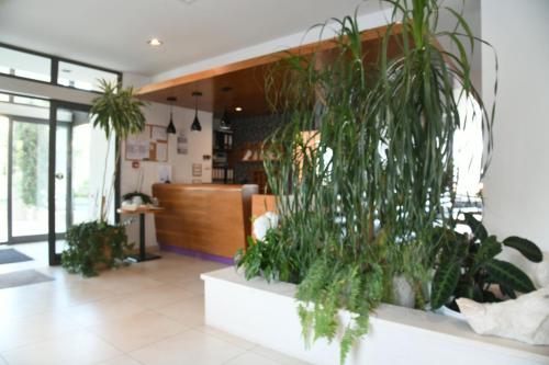 Hotel Lipa - image 11