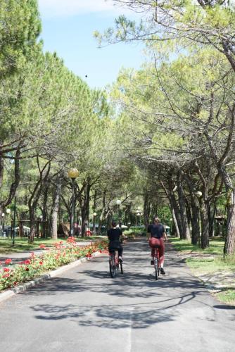 Belvedere Pineta Camping Village Grado - image 6