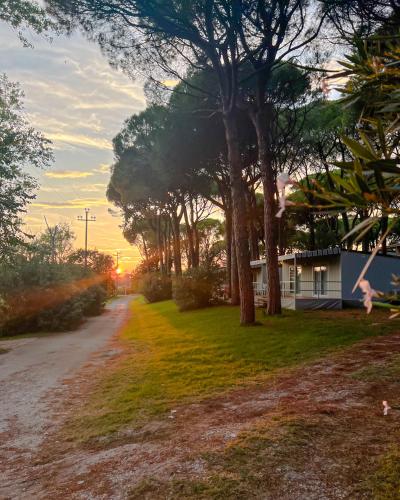 Belvedere Pineta Camping Village Grado - image 10