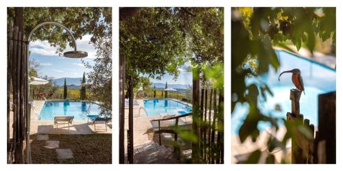 Accommodation in San Donato in Collina