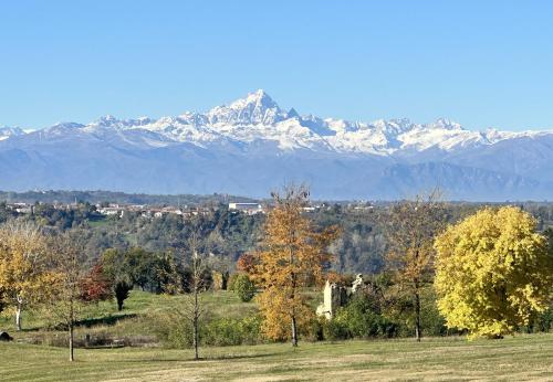 Langhe Wine & Relax