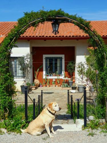 Helicon Muses Friendly Mountain B&B Guesthouse