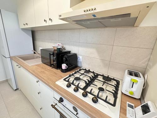 Cozy Studios and Apartments at Maurer Residence Brasov - image 4