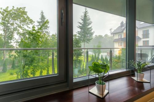 Apartment image 8