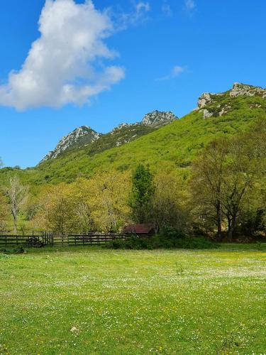 Helicon Muses Friendly Mountain B&B Guesthouse