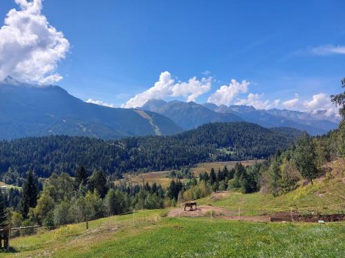Iekārtas, MGH Family Apartment Aprica - Gran Paradis in Corteno Golgi