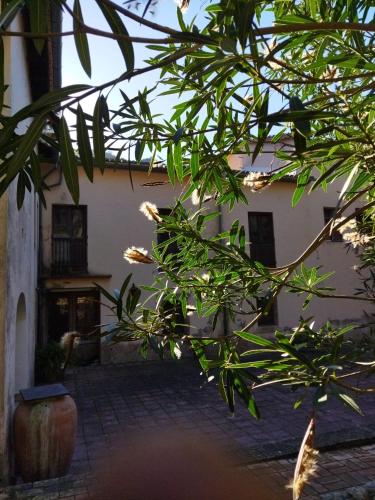 กีฬาและกิจกรรมสันทนาการ, Casa Bienvenida - Carcaixent in อัลซิรา