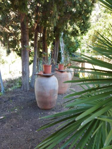 Casa Bienvenida - La Naturaleza