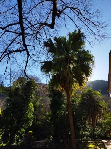 Casa Bienvenida - La Naturaleza