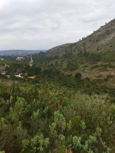 Casa Bienvenida - La Naturaleza