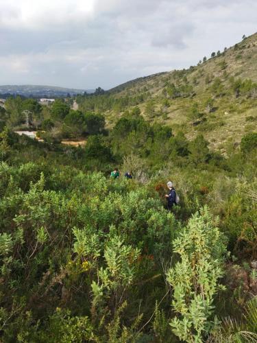 Casa Bienvenida - La Naturaleza