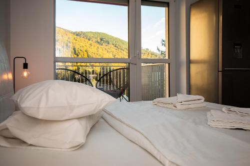 Large Studio - Balcony - Spa and Gym in Building - Free Parking, Sinaia (foto 3)