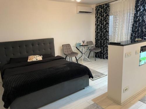 Fancy Studio Arena Nationala