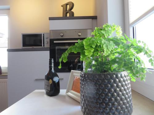 Ferienwohnung Familie Buchner in 格羅斯伊巴赫
