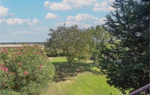 Lovely Home In Canino With Outdoor Swimming Pool