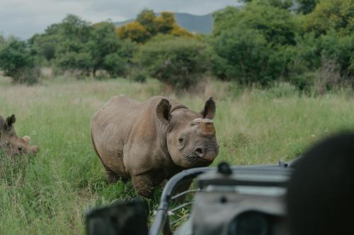 Valley Lodge - Babanango Game Reserve